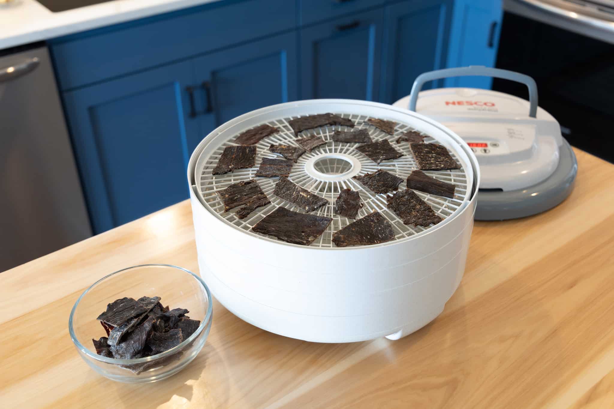 Nesco Snackmaster Encore Food Dryer Dehydrator and Jerky Maker FD-61 –  Good's Store Online