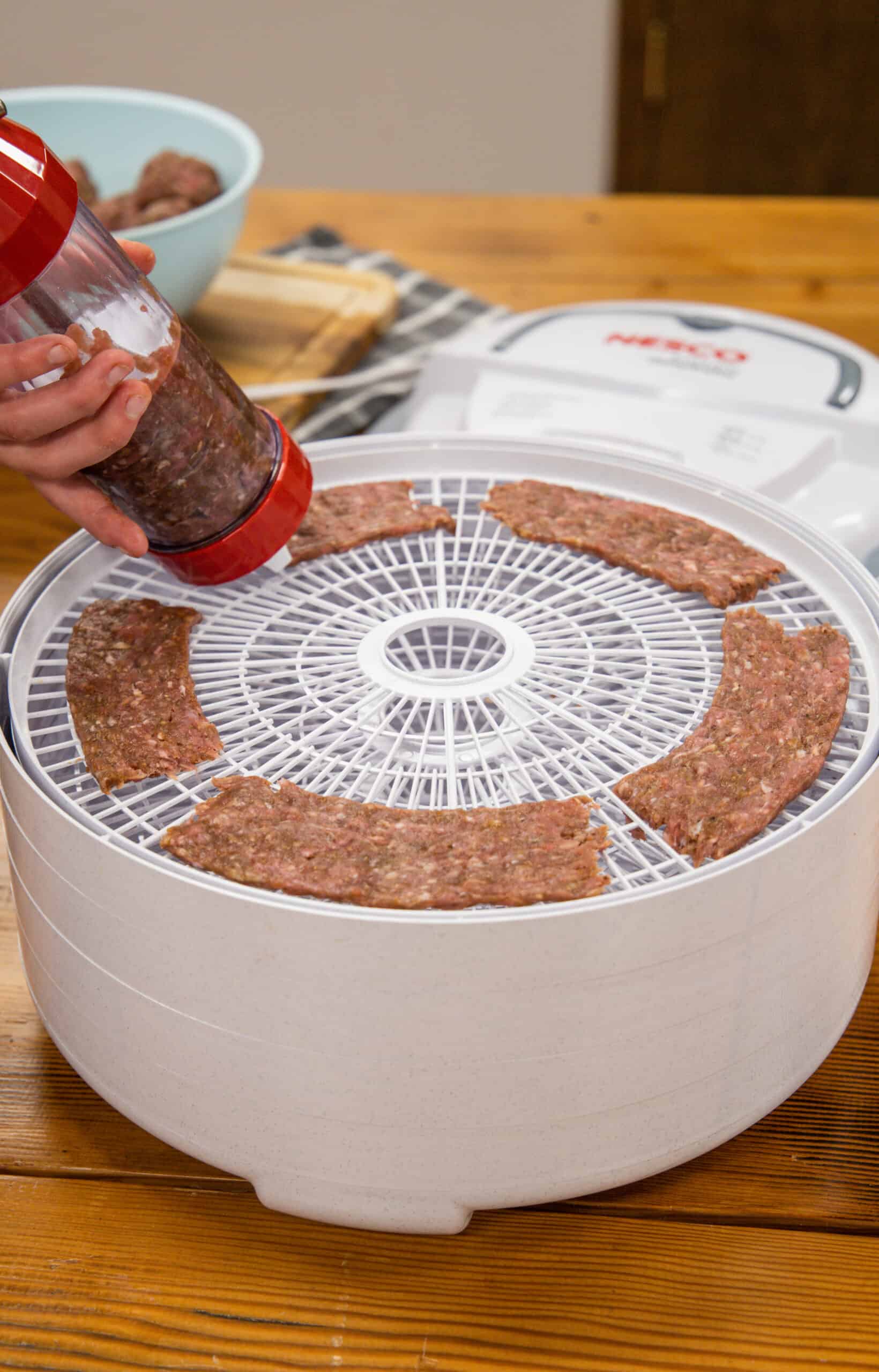 Nesco 6 Tray Food & Jerky Dehydrator