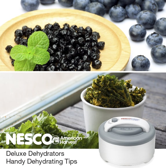 Deluxe Dehydrators Handy Dehydrating Tips