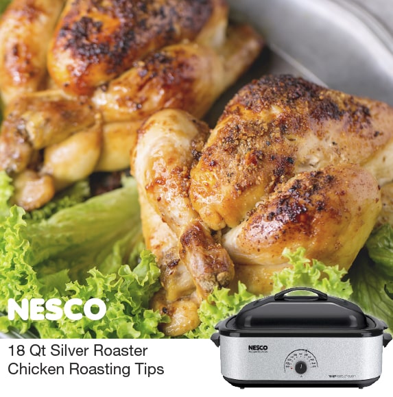 18 Qt. Silver Roaster Chicken Roaster Tips