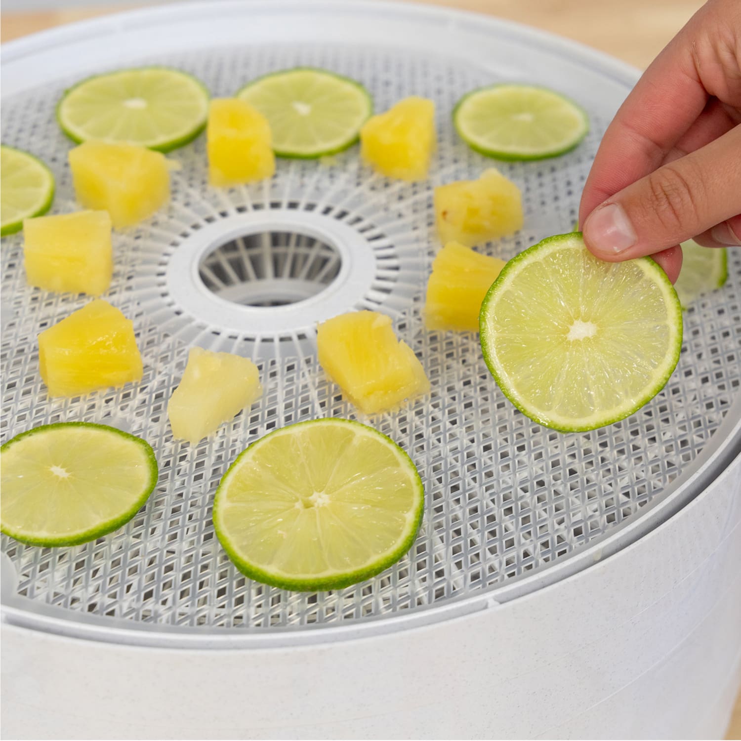 Tray Food & Jerky Dehydrator FD-61WHCK - Image 11
