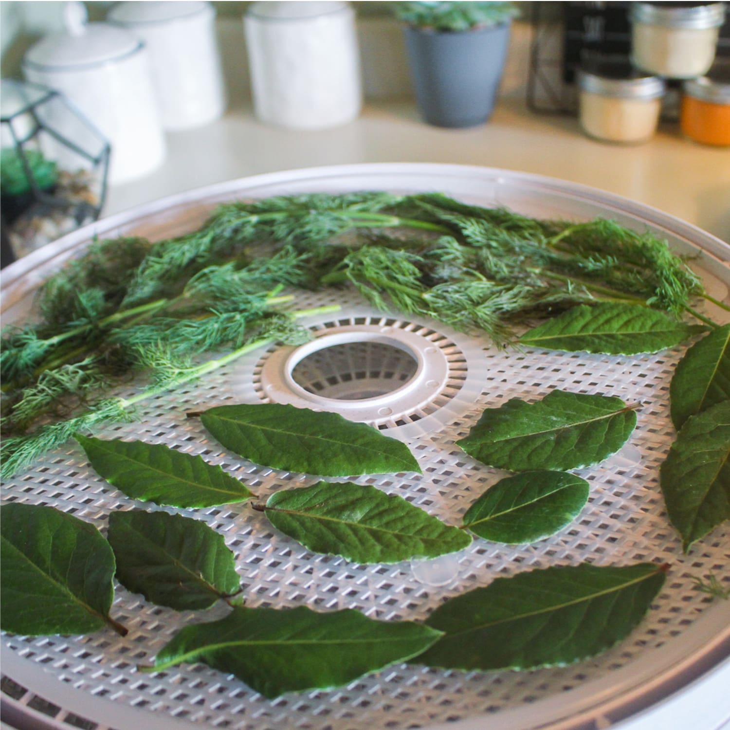 Snackmaster® Encore Food Dehydrator FD-61 - Image 12