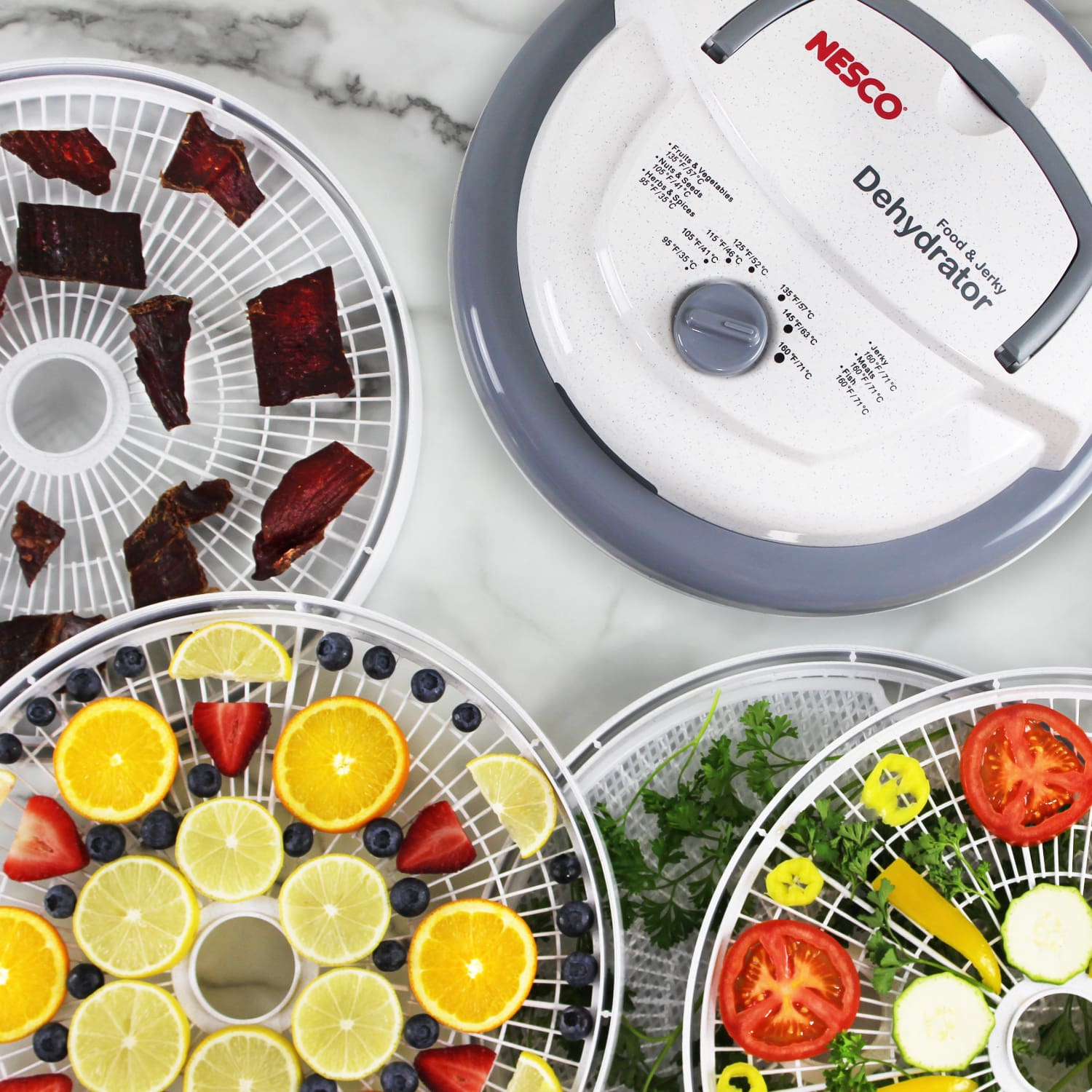 5 Tray Food & Jerky Dehydrator FD-75PR - Image 14