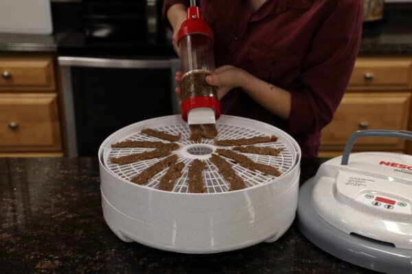 Nesco FD-28JX Jerky Xpress Food Dehydrator