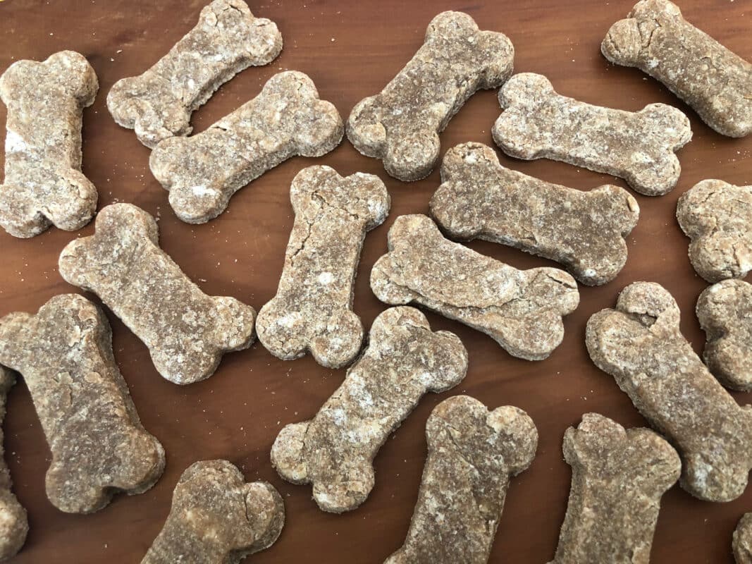 DIY Dog Treats