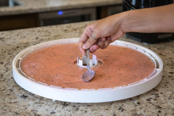 NESCO Dehydrator Grapefruit Fruit Roll-Up Puree