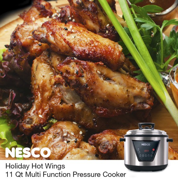 What A View!!! : Using my New Nesco Electric Pressure Cooker