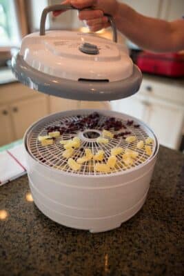 Trail Mix Pineapples And Cranberries In Dehydrator