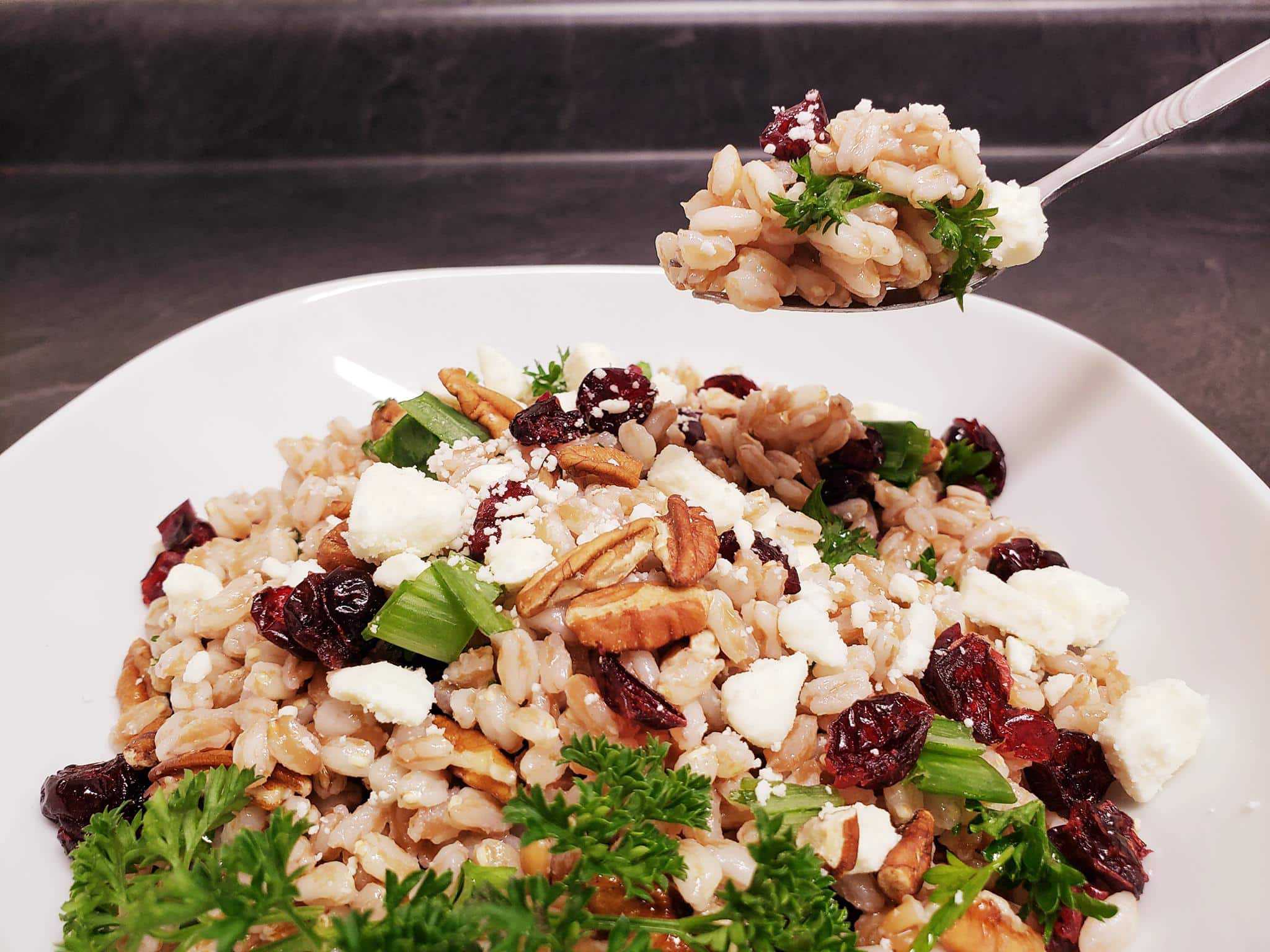 Read more about the article Farro Grain Salad With Dried Cranberries, Feta, And Pecans