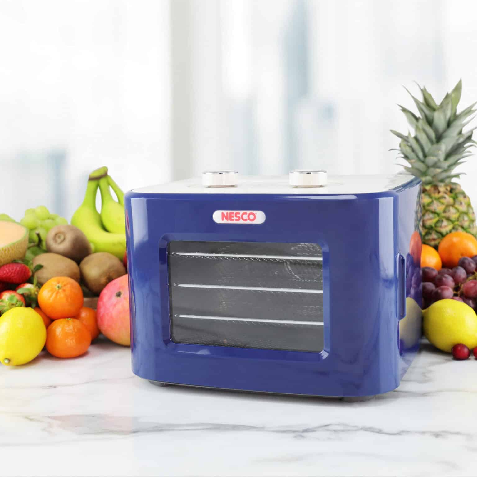 FD41B Snackmaster Jr. Dehydrator NESCO