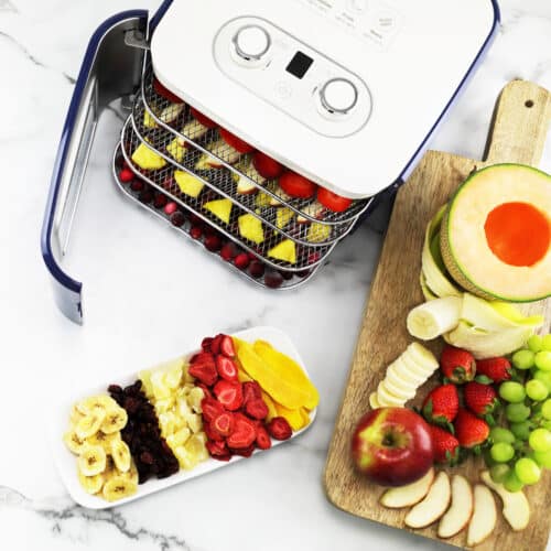 FD-41B Snackmaster Jr. Dehydrator Lifestyle