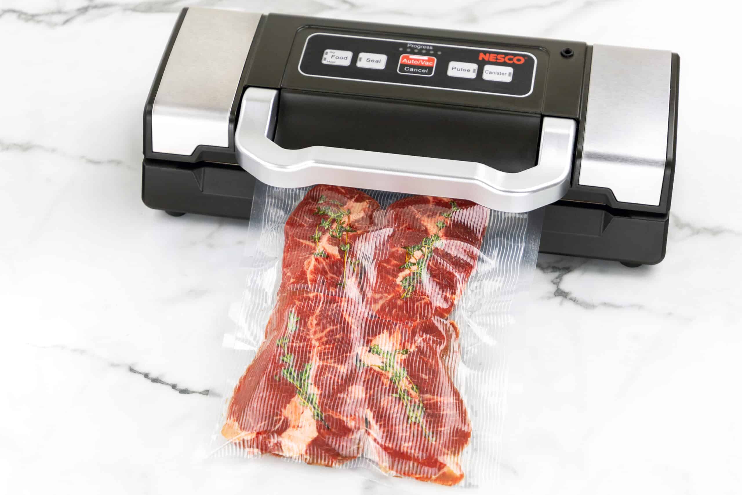 Deluxe Vacuum Sealer - VS-09 | NESCO