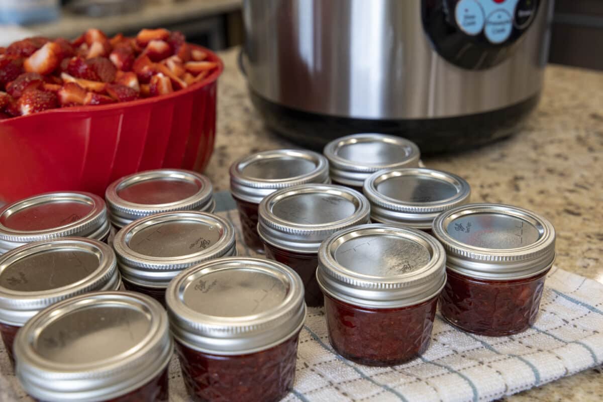 Strawberry Jam Jars