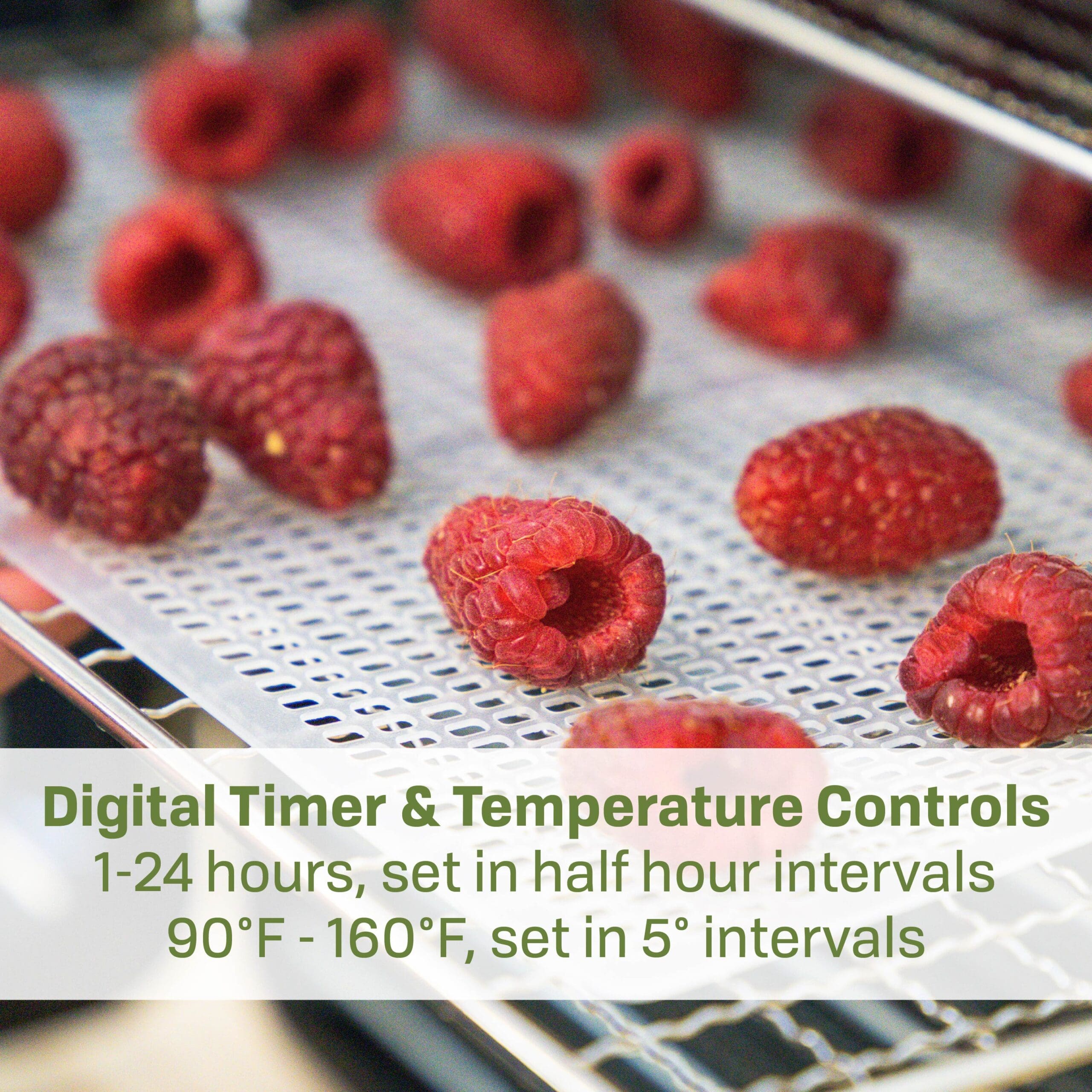 7-Tray Stainless Steel Digital Dehydrator FD-7SSD - Image 12