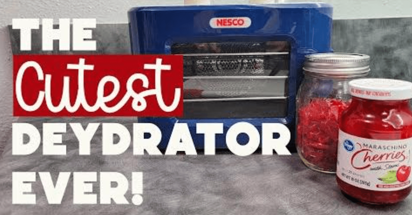 Read more about the article Dehydrating Maraschino Cherries with the Cutest Dehydrator Ever