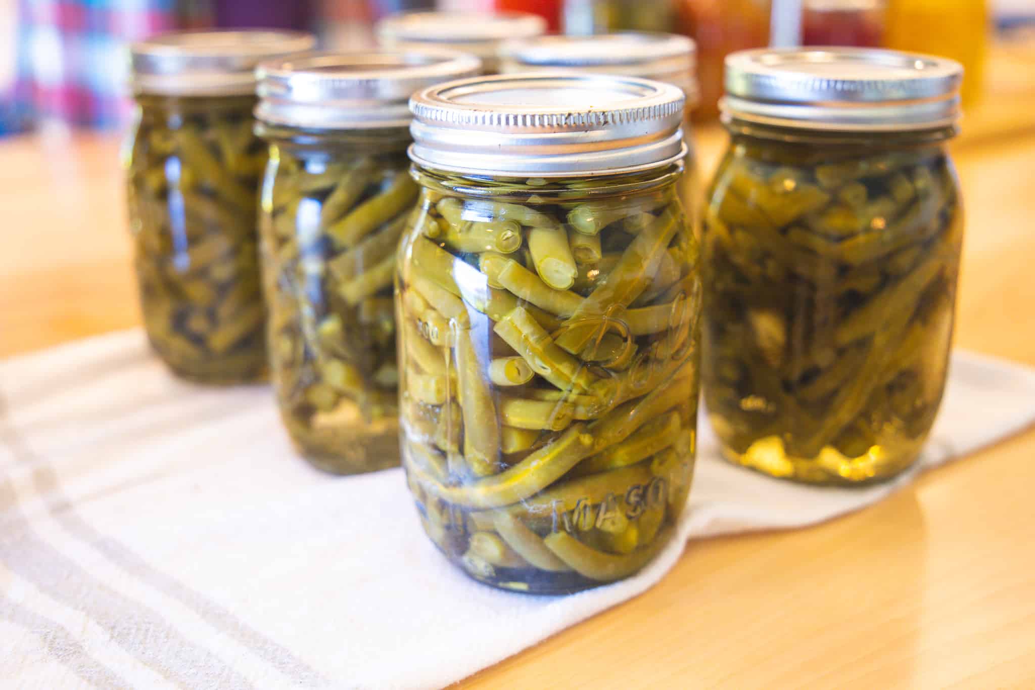 Read more about the article Canned Dilly Beans