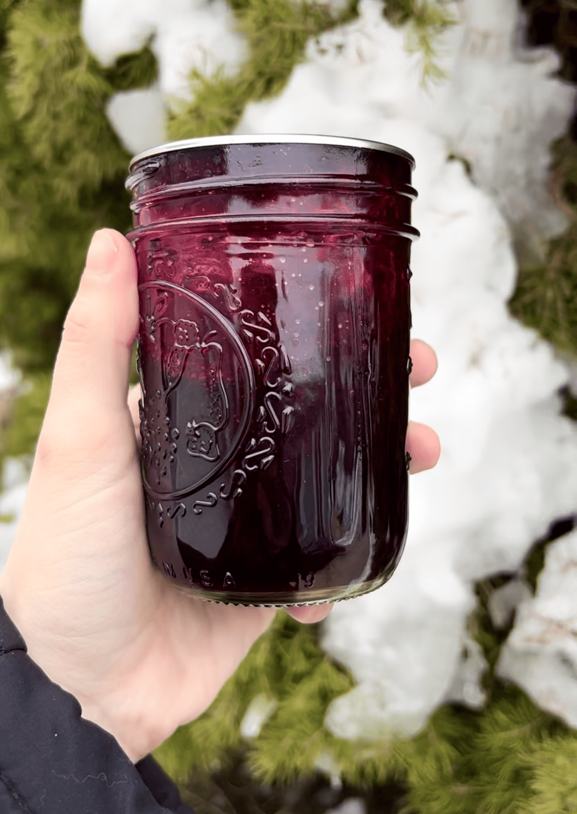 Read more about the article Canned Blueberry Syrup