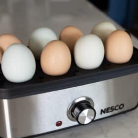 Nesco® Egg Cooker - Runnings