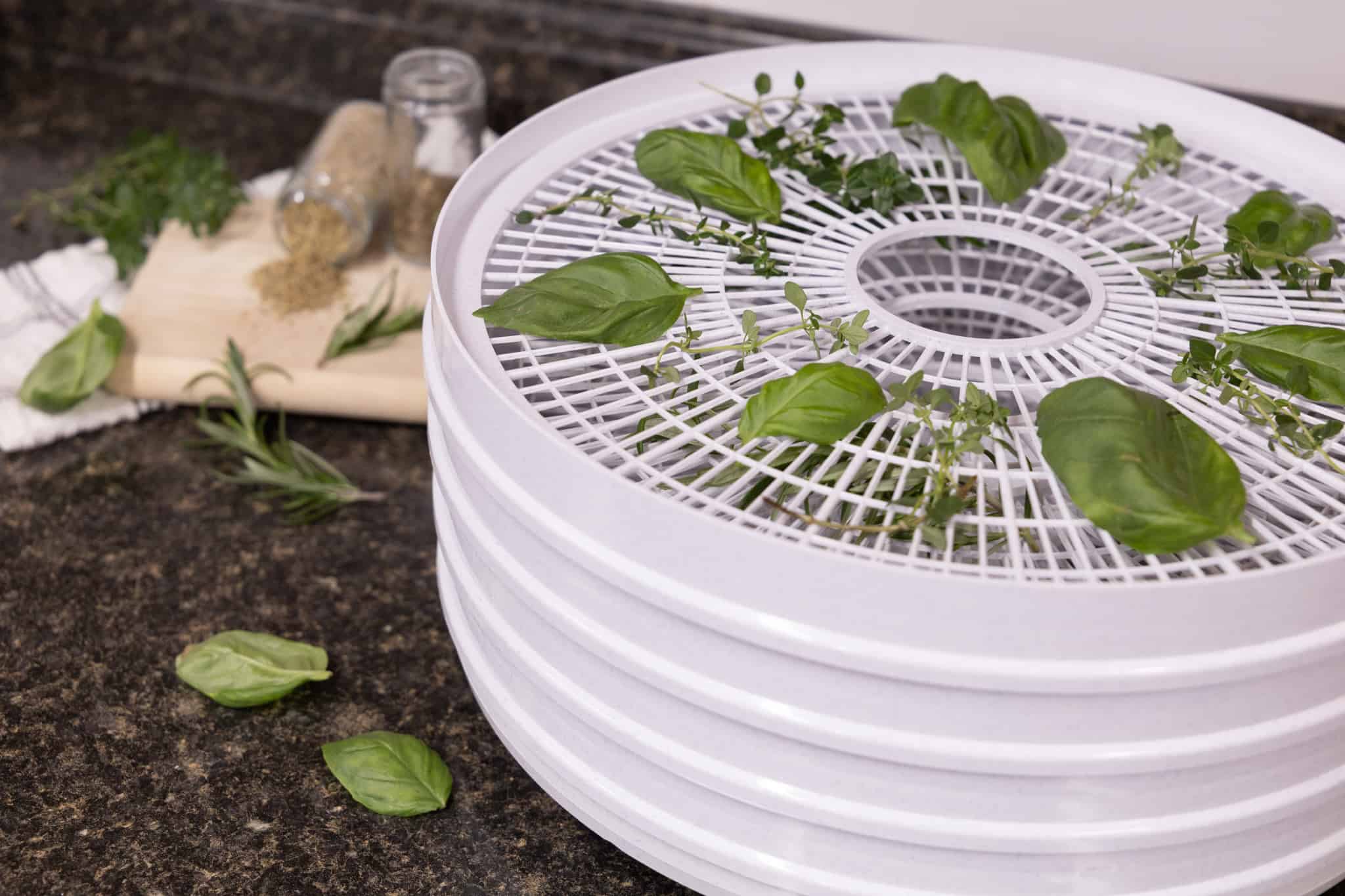 Nesco WT-2P Food Dehydrator Tray, Plastic, White, 13-1/2