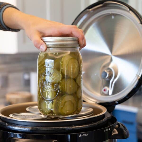 9.5 Qt Smart Canner & Cooker NESCO