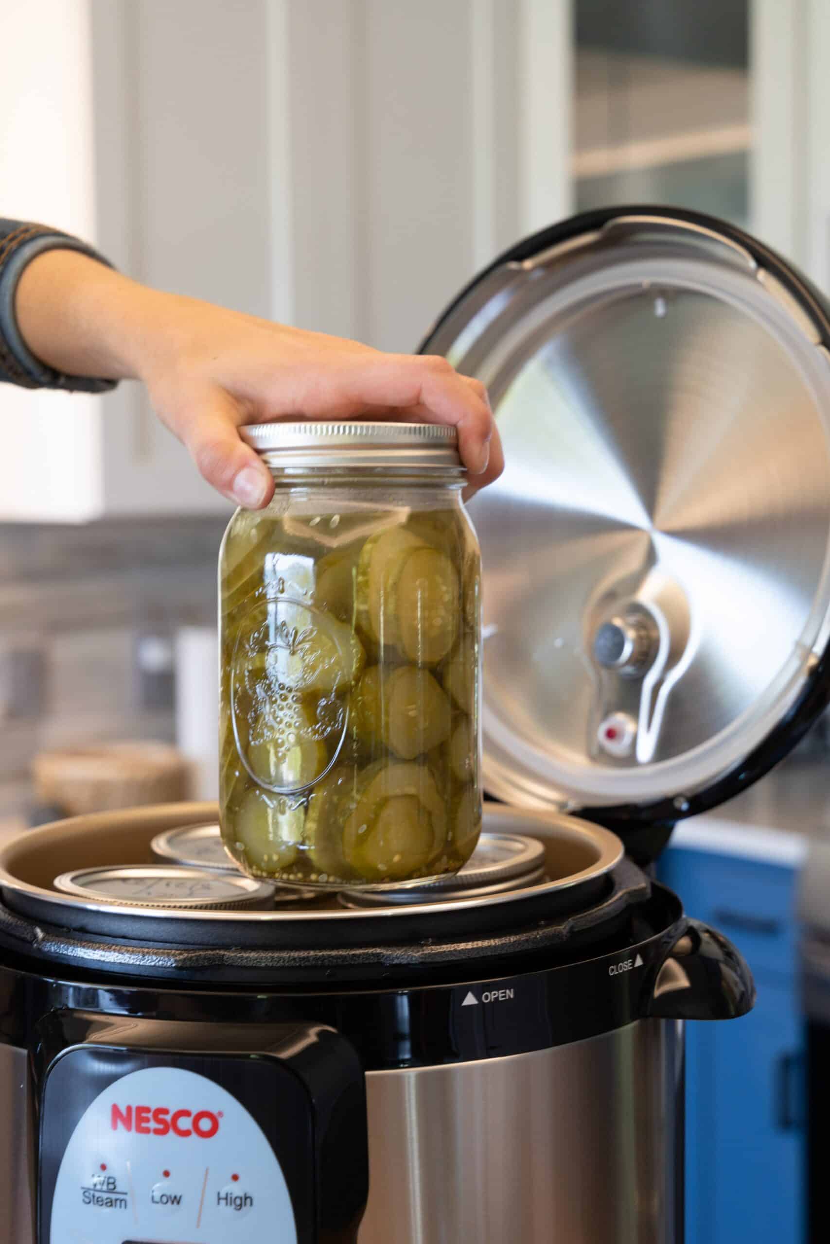 Canning Meat in a Carey/Nesco Canner – Minisliceoffarm