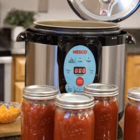 Unboxing the Nesco 9.5 Quart Digital Smart Canner  Water Bath and Pressure  Canning the Easy Way 