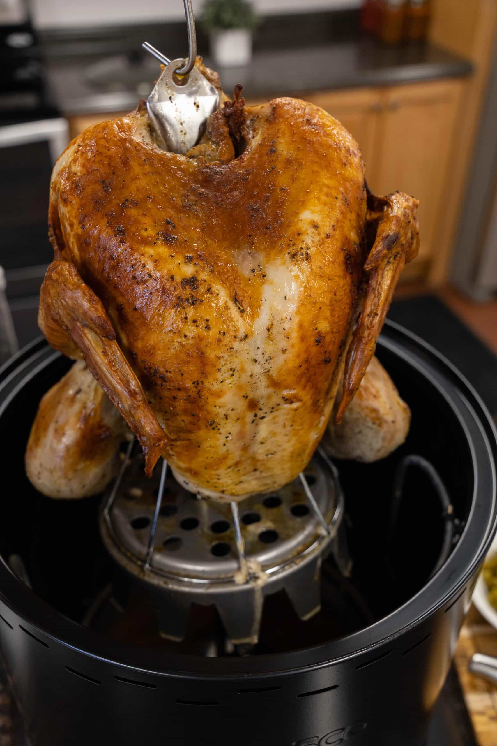 Turkey roasters on sale hotsell