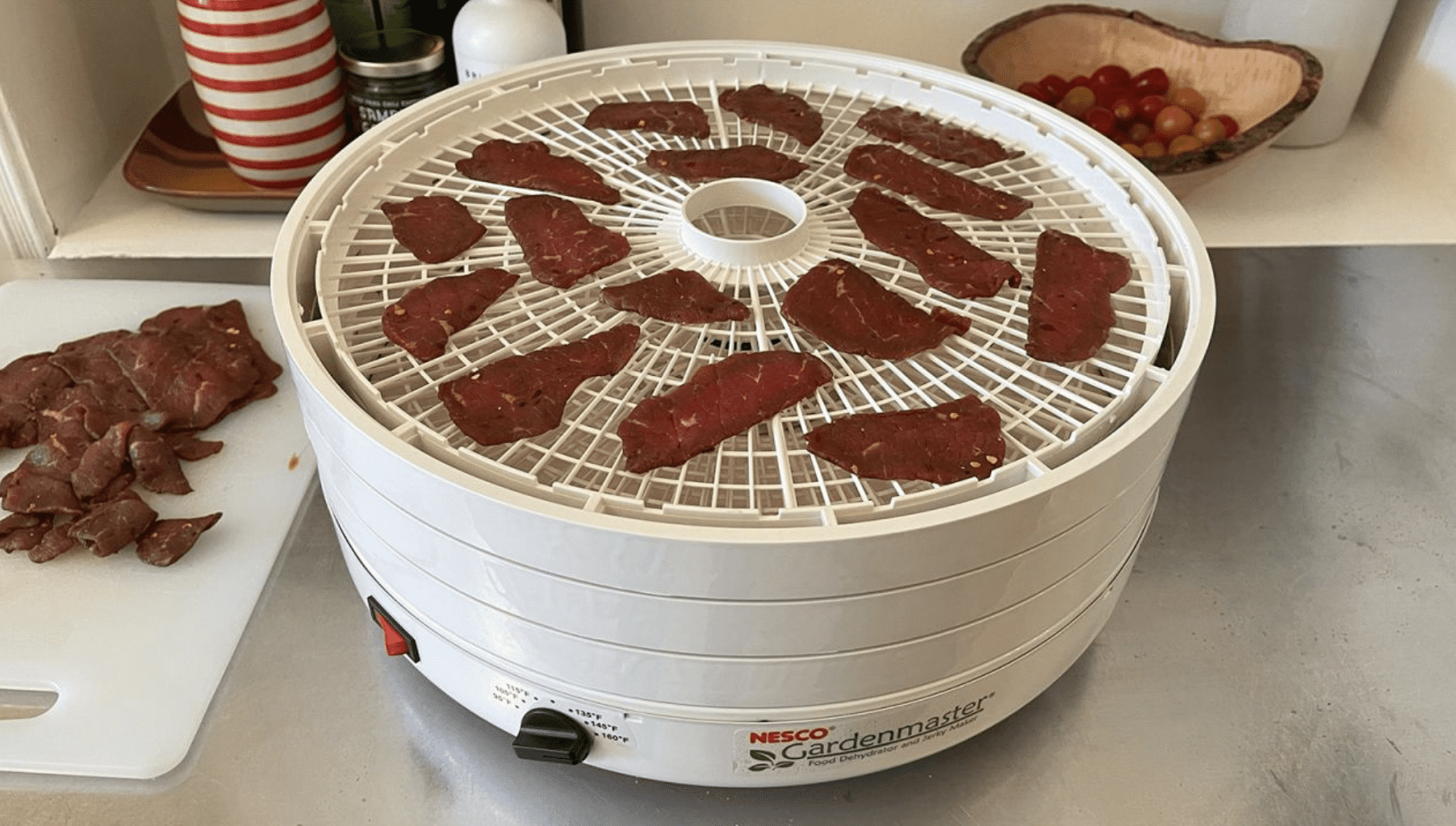 Read more about the article Best food dehydrator in 2023