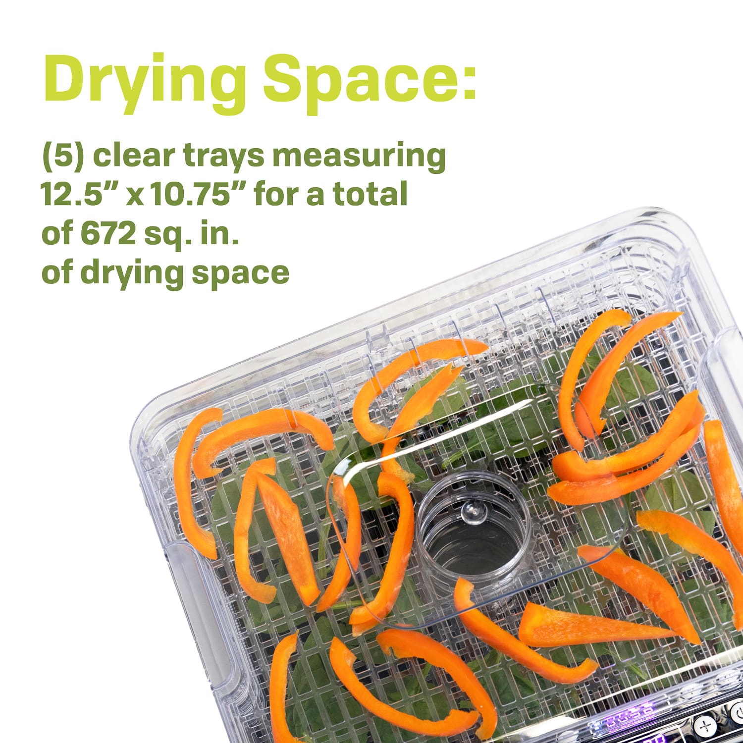 Digital 5 Rectangular Clear Tray Dehydrator FD-5TC - Image 4
