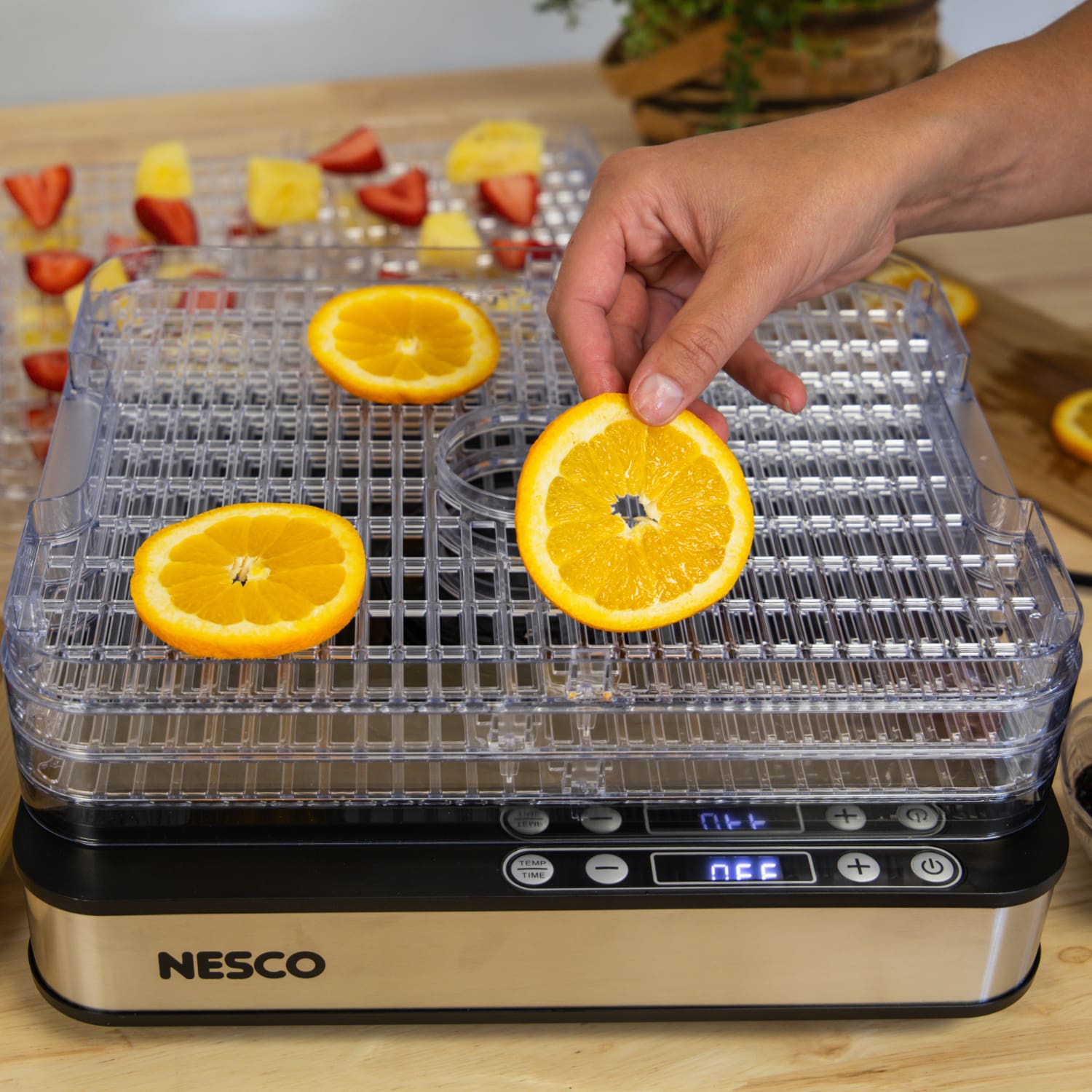 Digital 5 Rectangular Clear Tray Dehydrator FD-5TC - Image 9