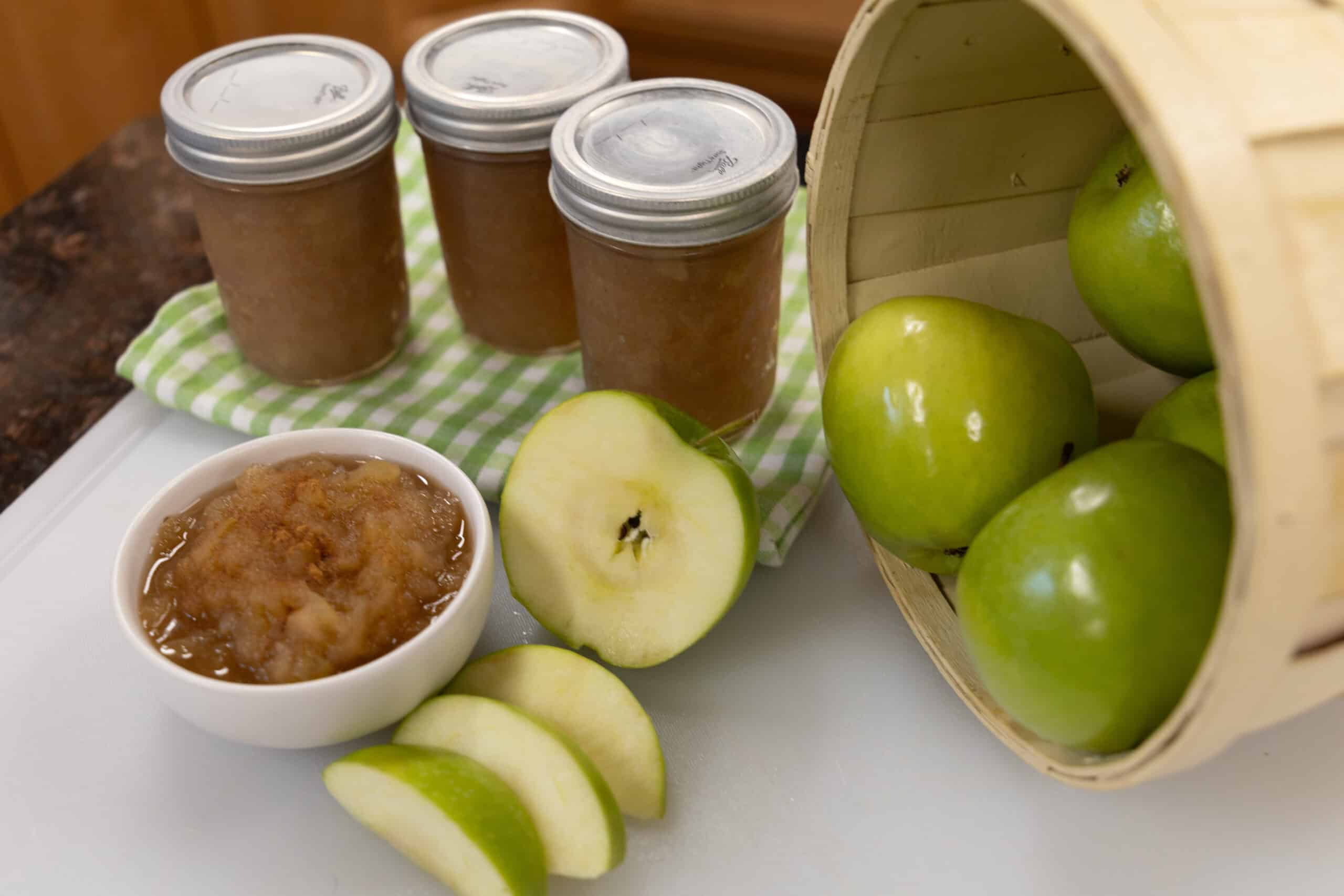 Read more about the article Canned Homemade Applesauce