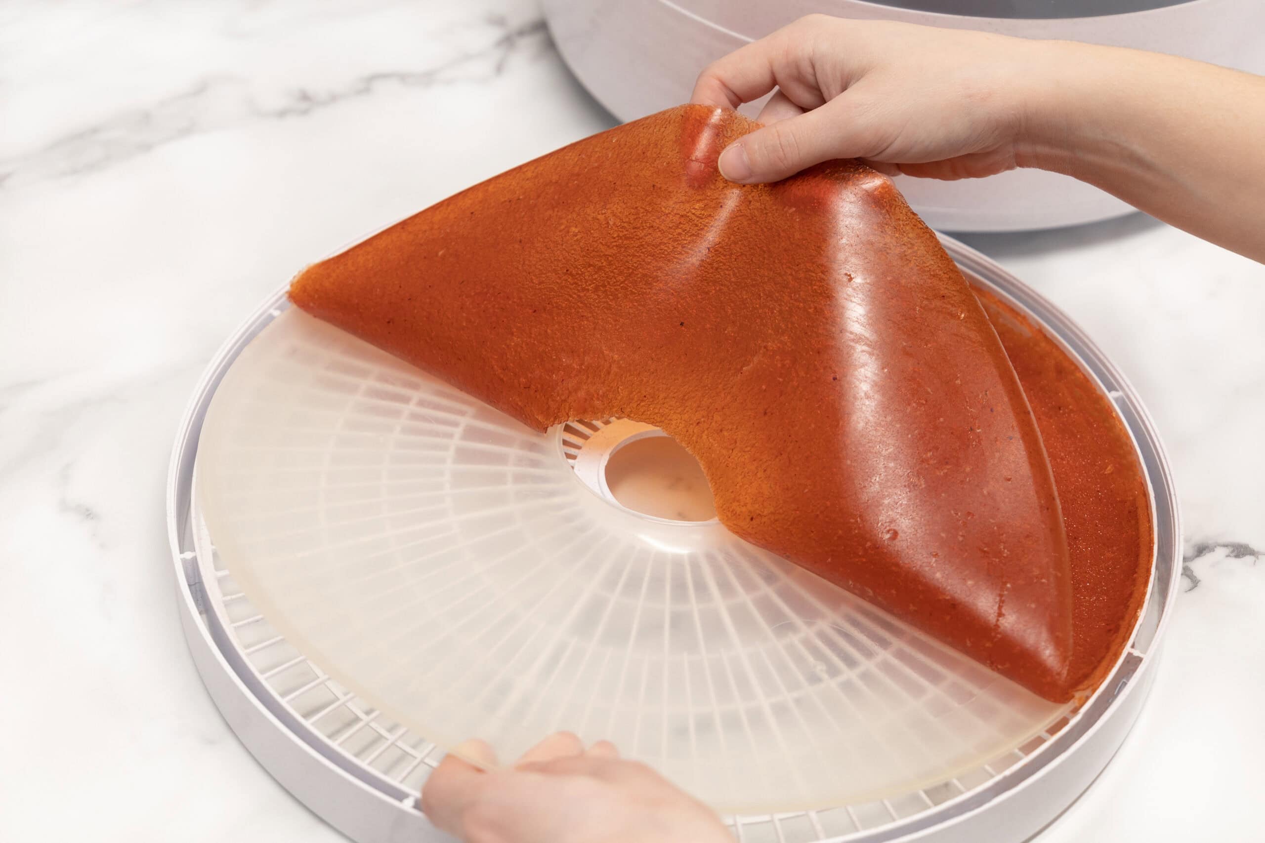 Read more about the article Strawberry Fruit Roll-Ups (Dehydrator Method – All Natural)