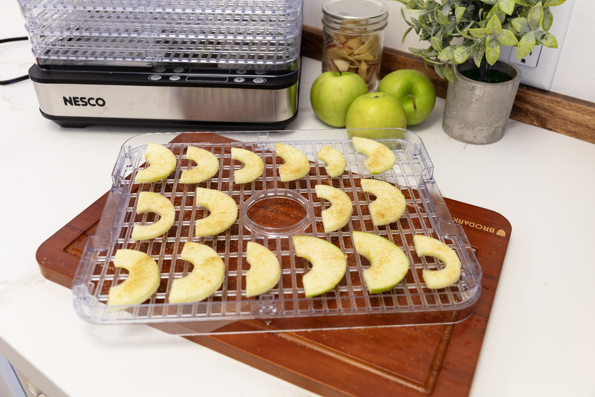 Read more about the article Dehydrated Apple Chips