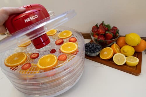 4-Tray Fixed Temperature Food Dehydrator - Image 3