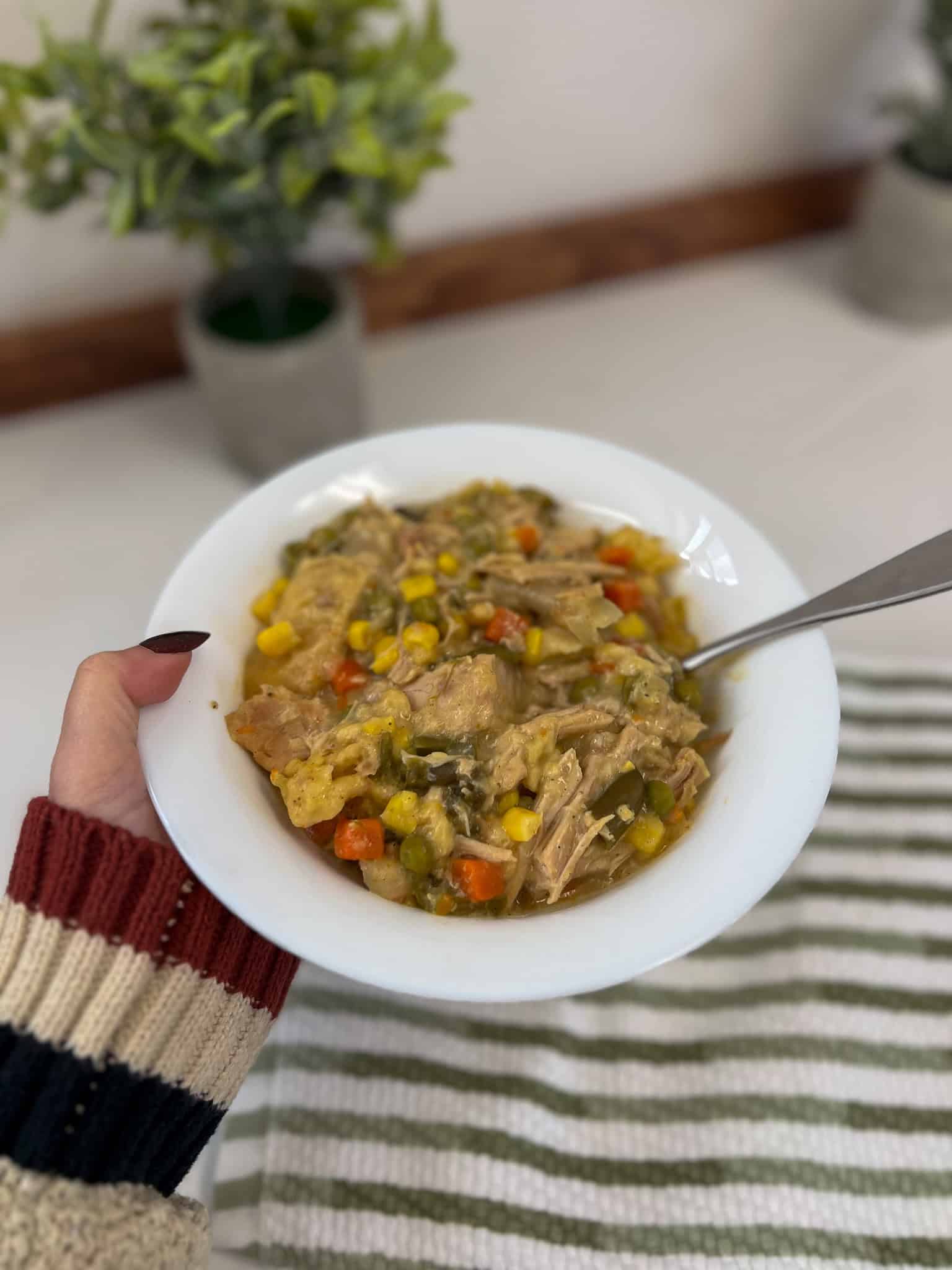 Read more about the article Slow Cooker Chicken & Dumpling