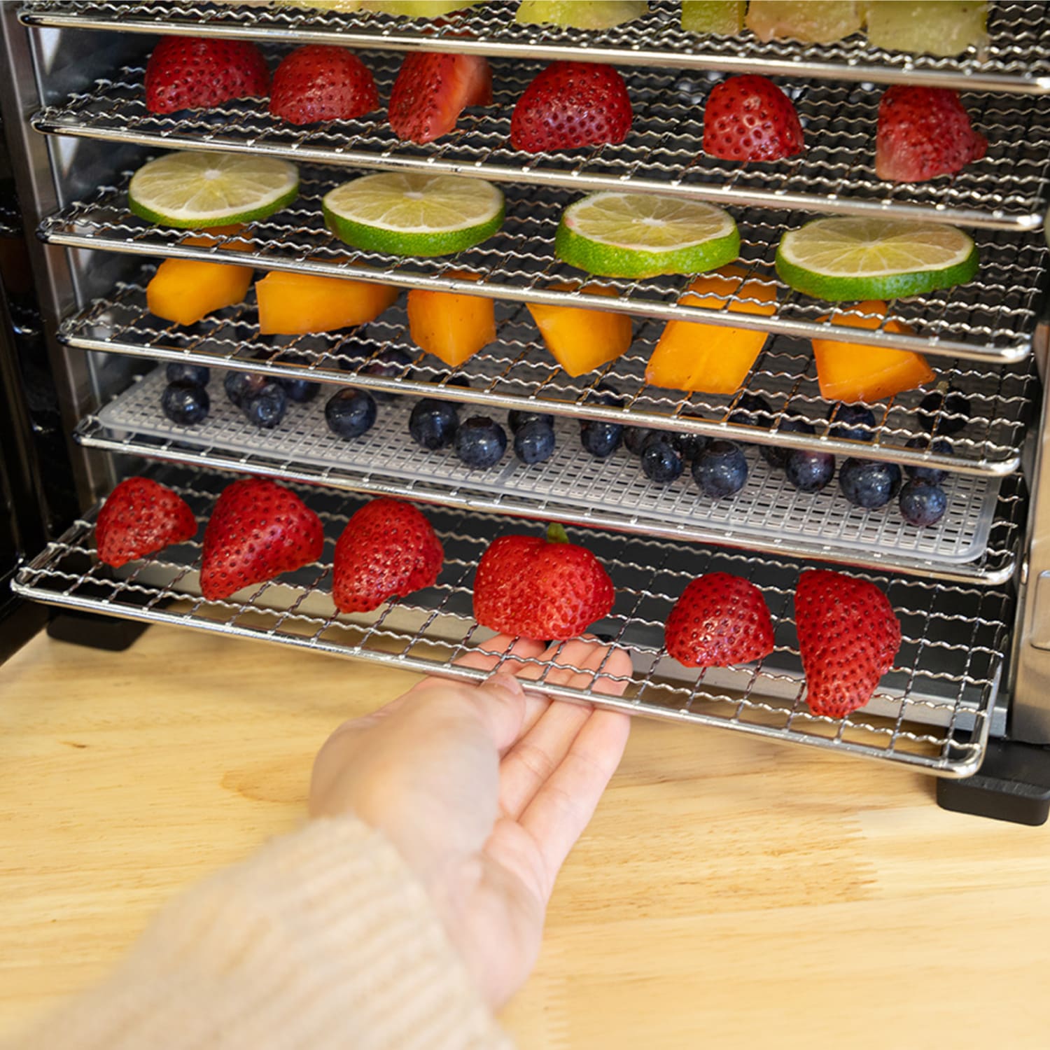 8-Tray Stainless Steel Dehydrator - Image 11